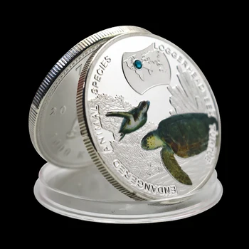  Novčić Loggerhead Kornjača s Kristalno Zambija 1000 Kvača Novčić U Kapsuli Najbolje Collectible Kovanice