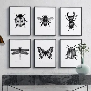  Plakat s Insekata, Crno-Bijeli Ispis sa Slike Božje Kravu, Buba, Vretenca, Leptiri, Wall Art, Platno, Slika, Dječje sobe, Kućni Dekor